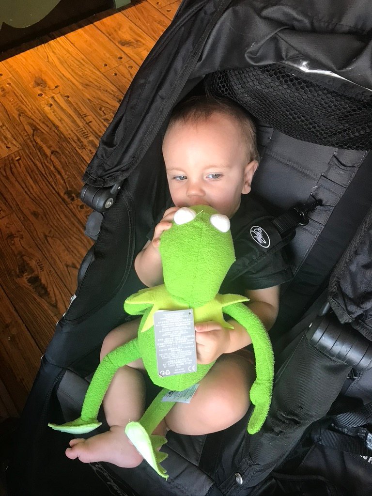 A cild sits in a double buggy huggy a plushie of kermit